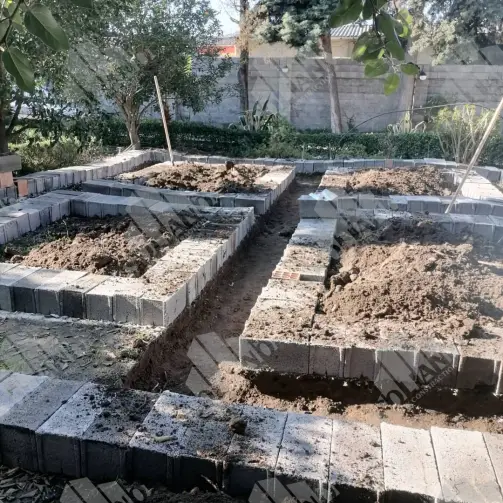 پی کنی